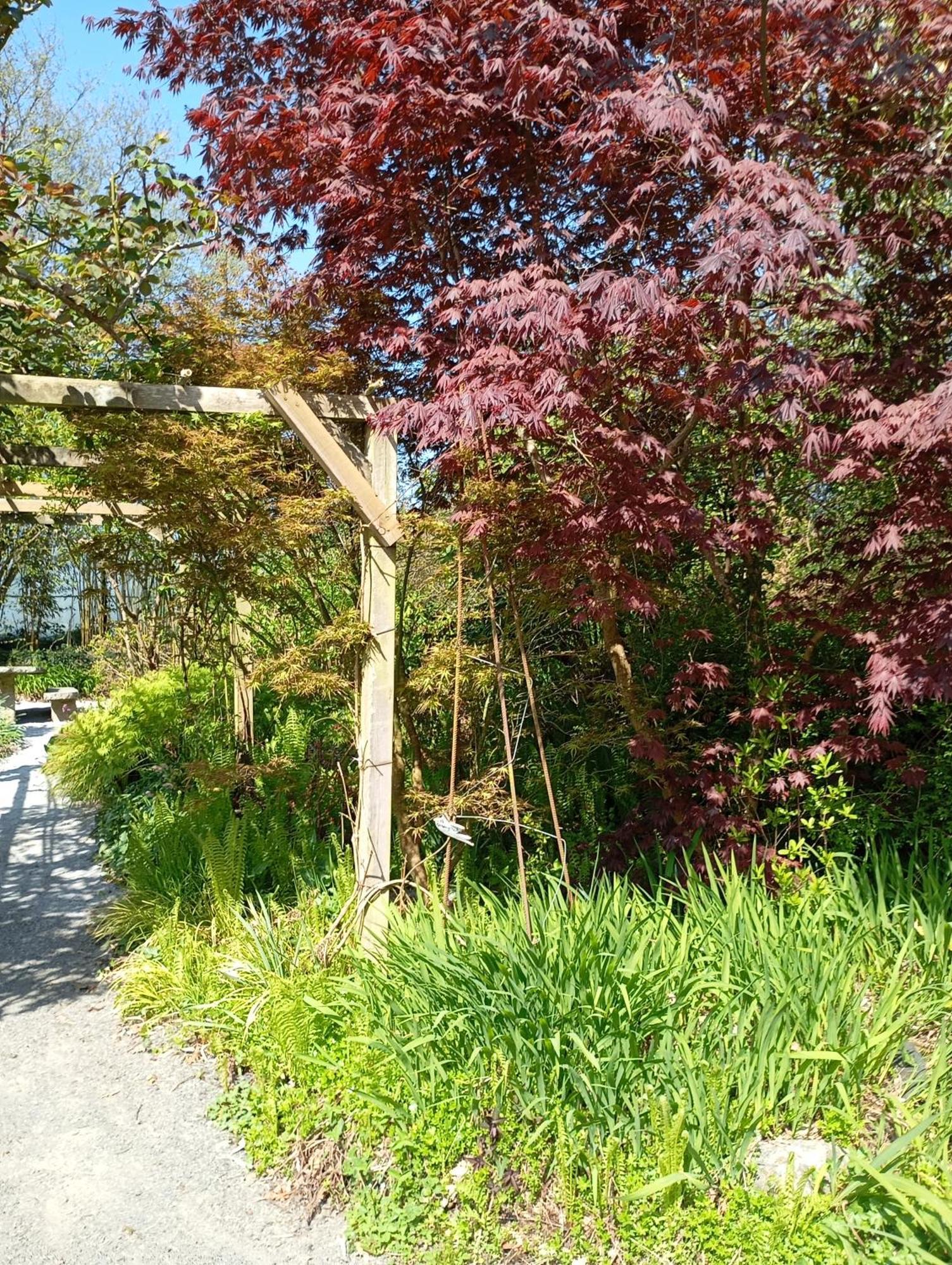 Villa La Chartrie Sartilly-Baie-Bocage Esterno foto